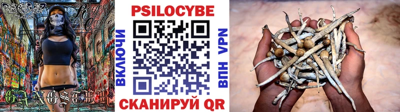 Галлюциногенные грибы Cubensis кракен зеркало Темрюк